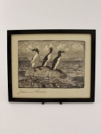 Johannes Larsen Woodcut Geir Bird sold