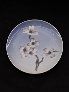 RC Porcelain plate. 2830/1125. 
