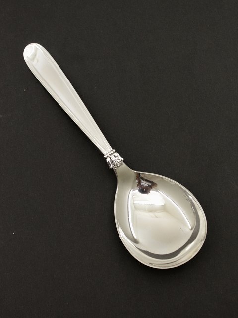 Karina serving spoon