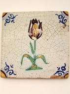 1600-tals hollandsk tulipan flise
