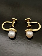 14 karat guld øreringe med ægte perle