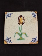 Hollandsk tulipan flise